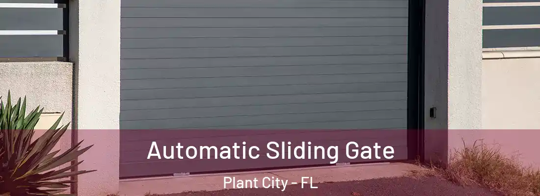 Automatic Sliding Gate Plant City - FL