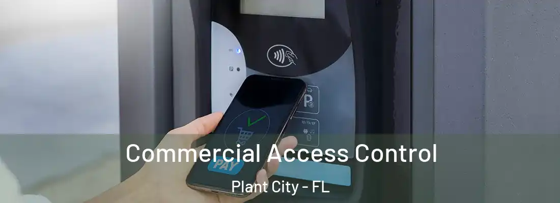 Commercial Access Control Plant City - FL