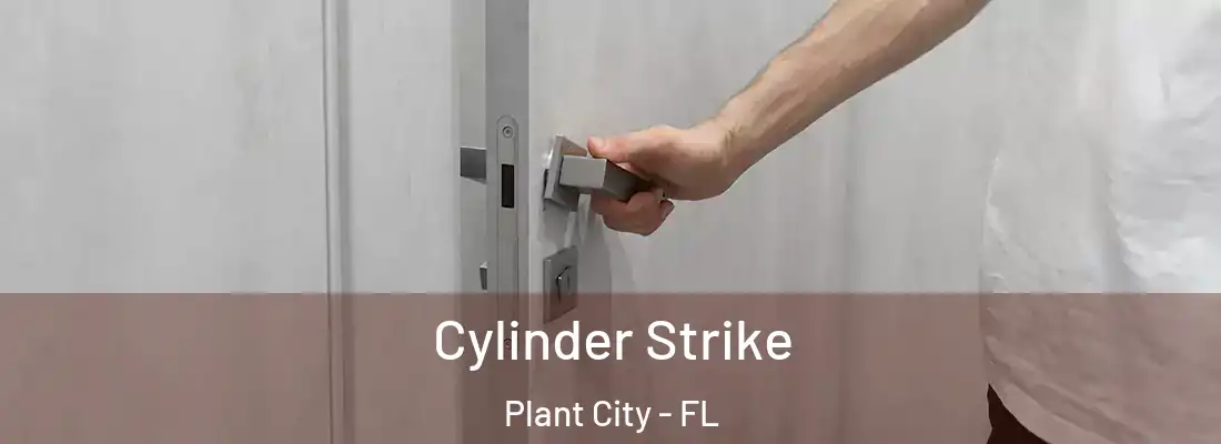 Cylinder Strike Plant City - FL