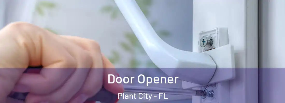 Door Opener Plant City - FL
