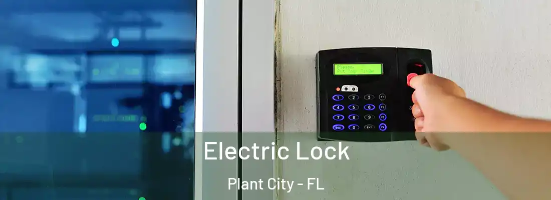 Electric Lock Plant City - FL