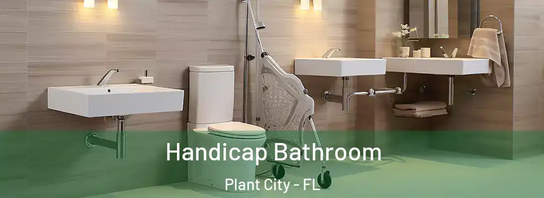  Handicap Bathroom Plant City - FL