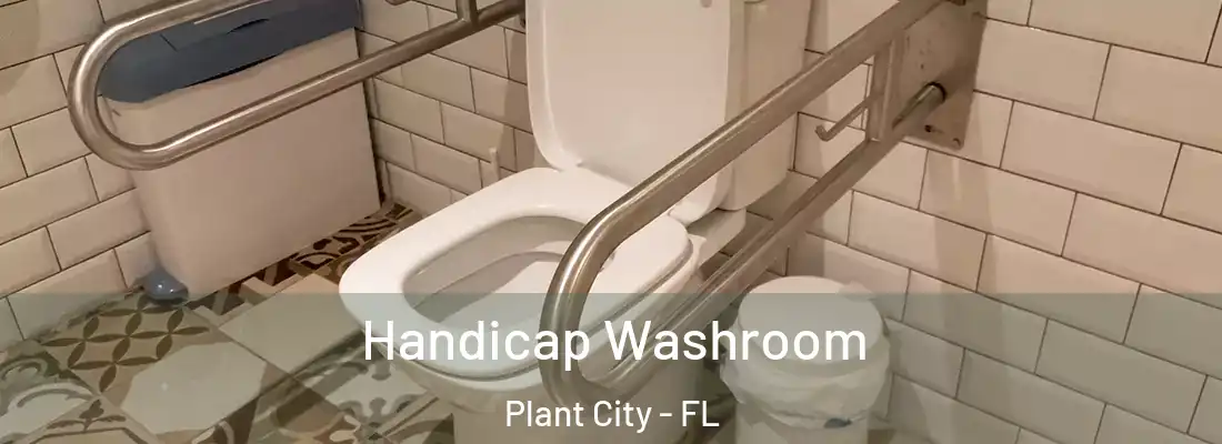  Handicap Washroom Plant City - FL