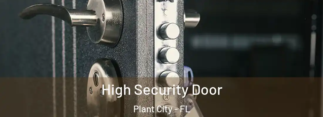 High Security Door Plant City - FL