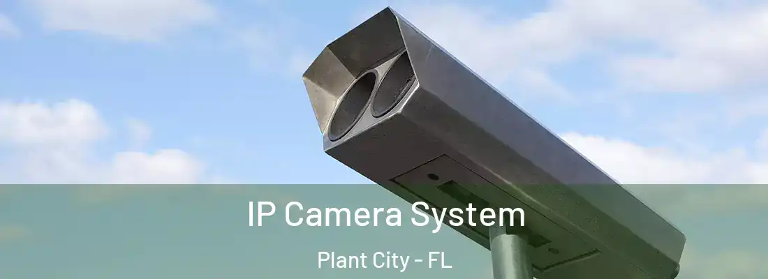 IP Camera System Plant City - FL