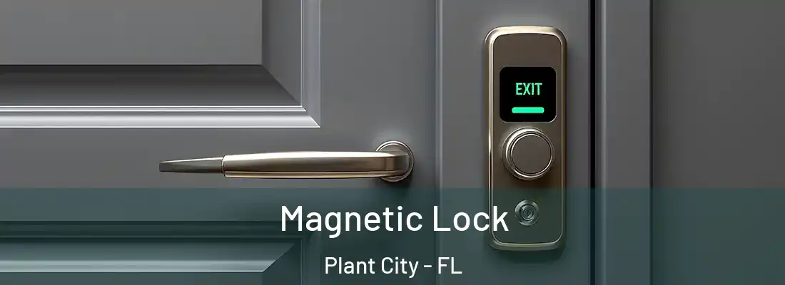 Magnetic Lock Plant City - FL