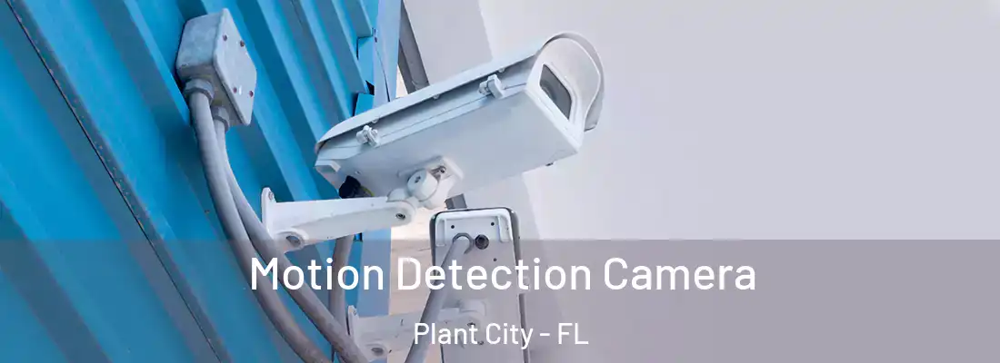 Motion Detection Camera Plant City - FL