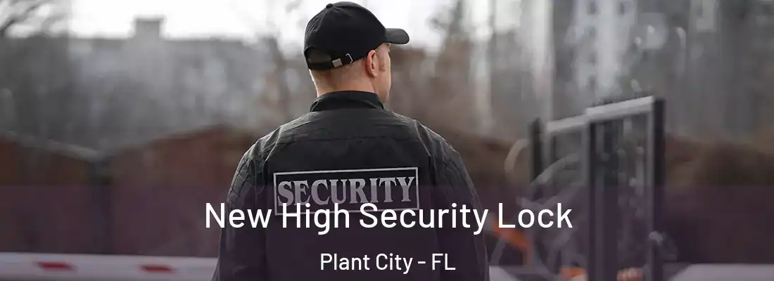 New High Security Lock Plant City - FL