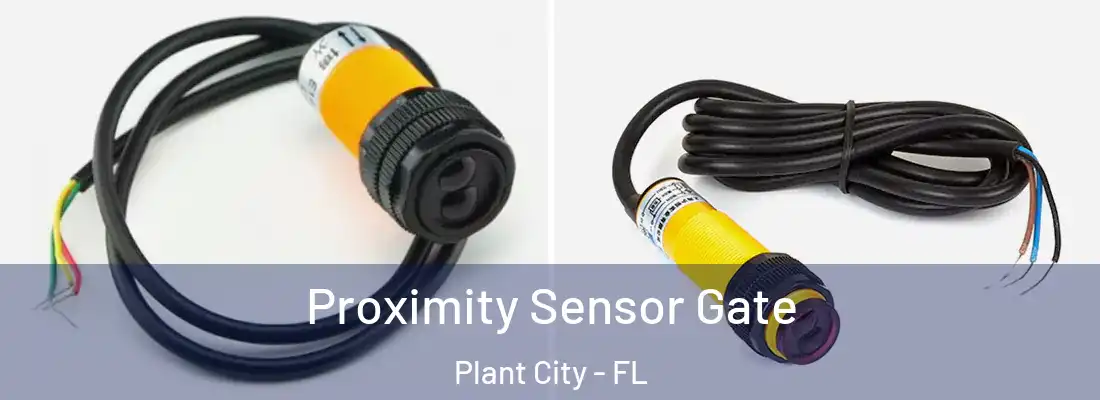 Proximity Sensor Gate Plant City - FL