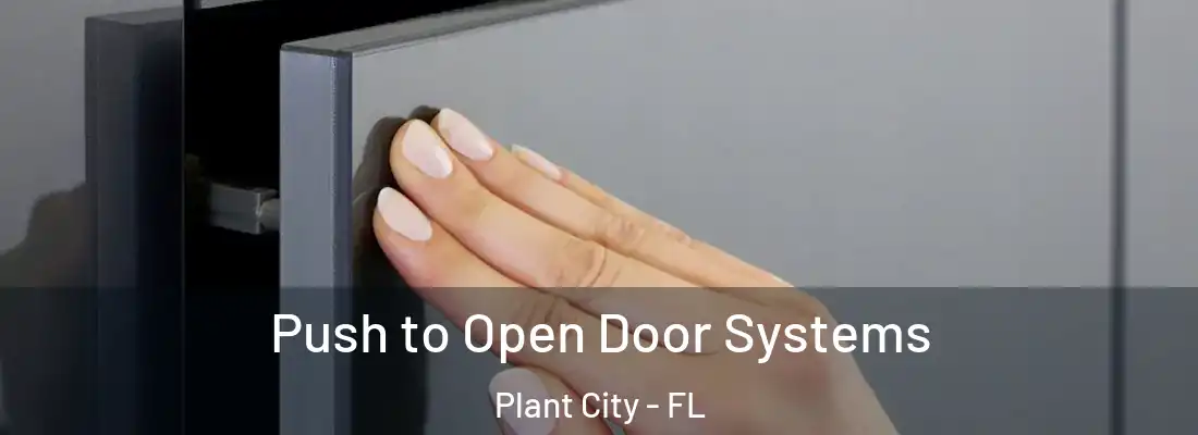 Push to Open Door Systems Plant City - FL