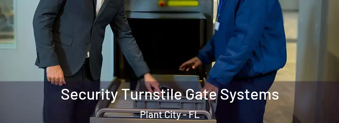 Security Turnstile Gate Systems Plant City - FL