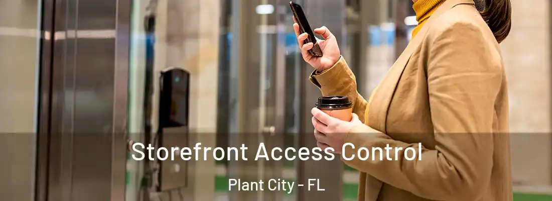 Storefront Access Control Plant City - FL